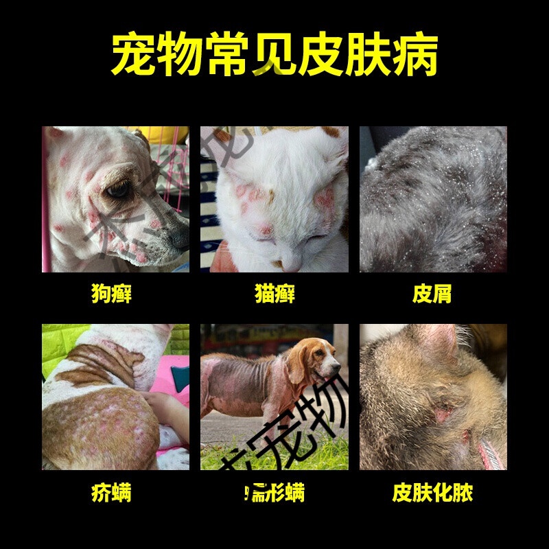 Dog Skin Disease External Use Ointment Special Medicine for Treating