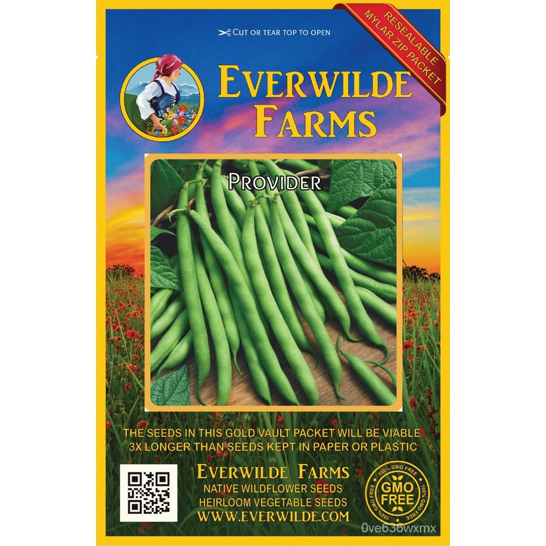 seeds flower plants 100 Provider Green Bush Bean Seeds Everwilde