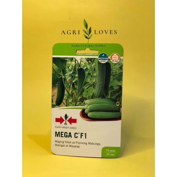 Mega C F1 Cucumber/Pipino Seeds Sachet (East-West Seed) | Shopee ...