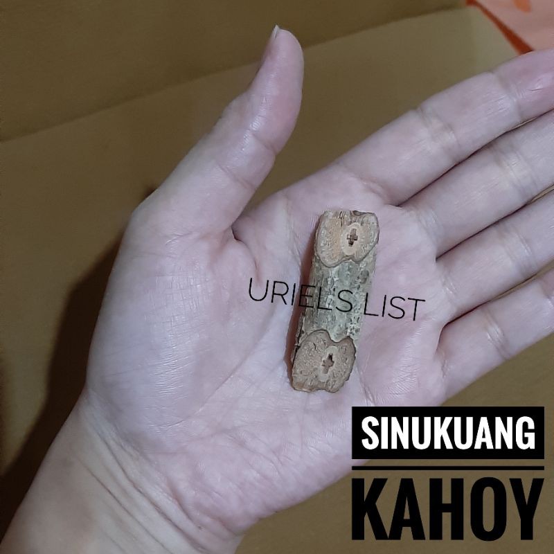 Uriel Sinukuang Kahoy Kahoy Na Sinukuan Amulet With Pouch Shopee