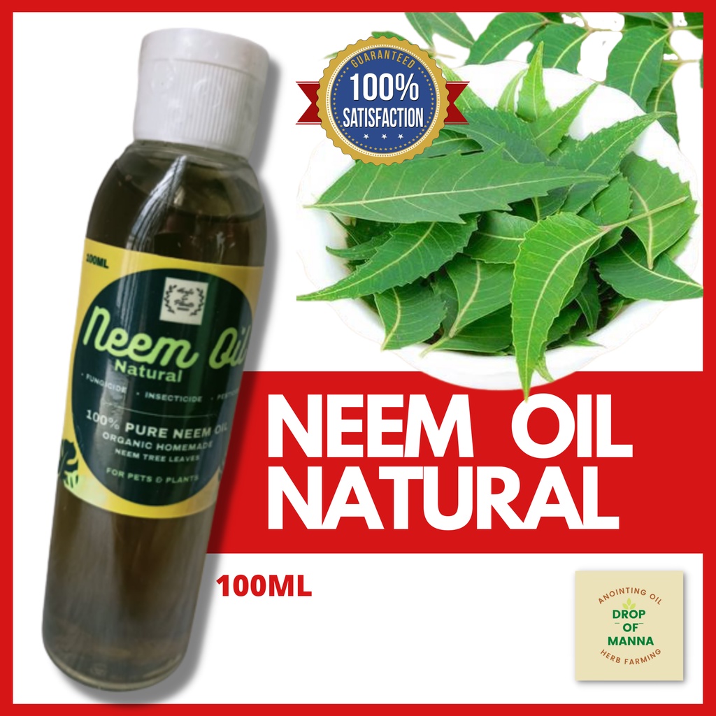 NEEM OIL PURE HOMEMADE CLASSIC/Organic Pesticide & Fungicide Neem ...