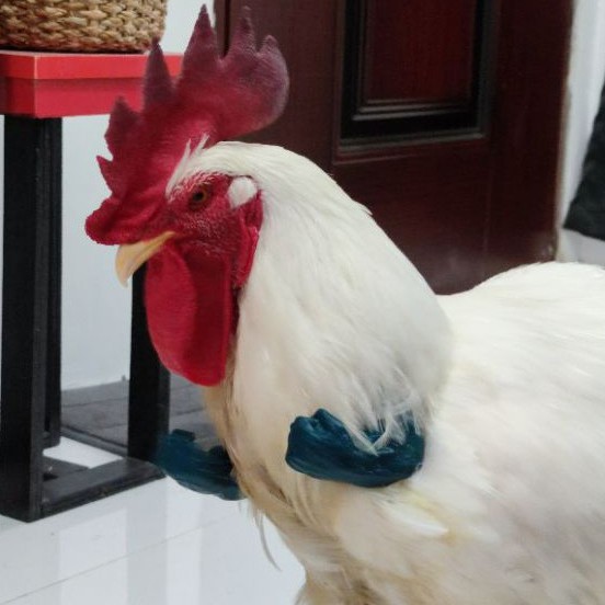 3D Printed Hulk arms for chicken Shopee Philippines