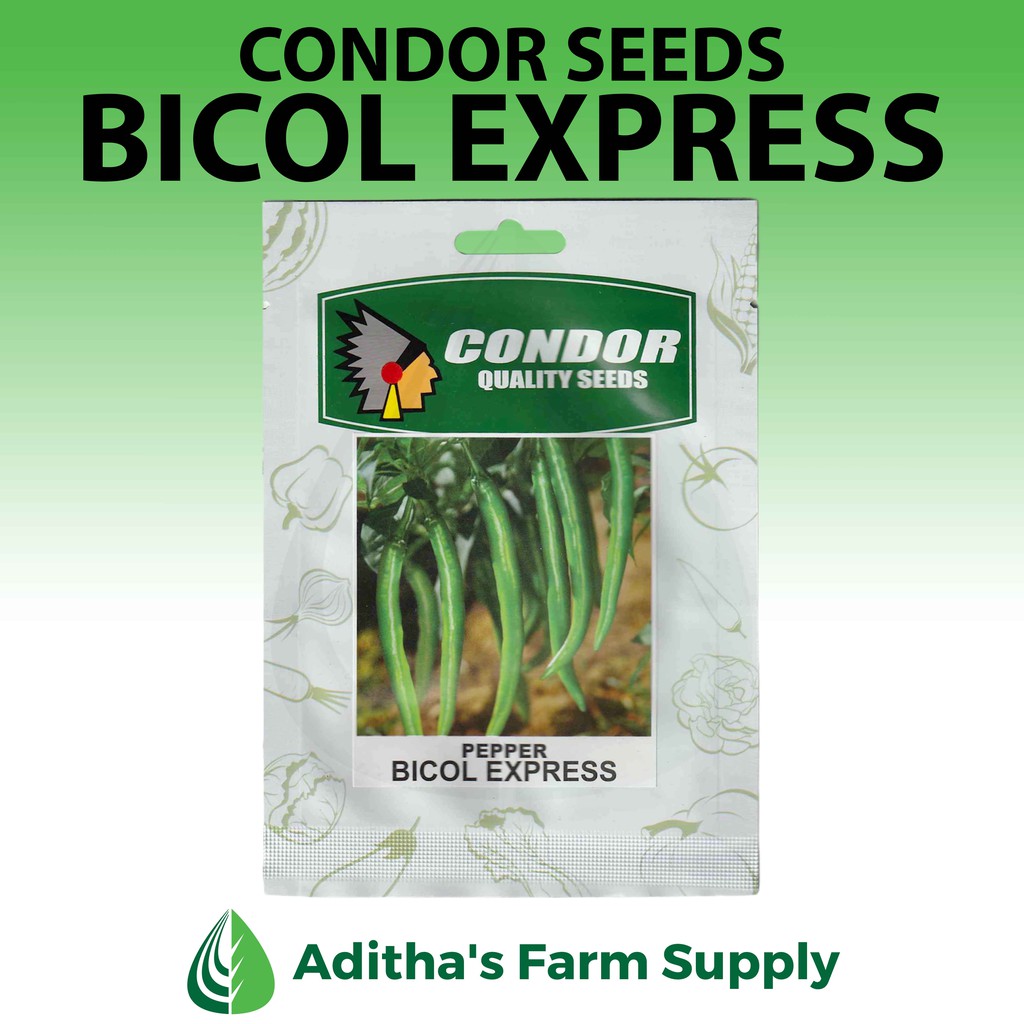 Condor Seeds: Bicol Express (Pepper) | Shopee Philippines