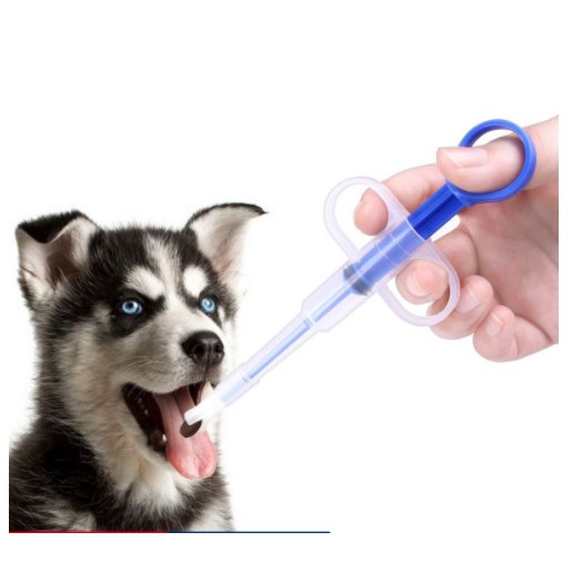 Syringe feeding a clearance dog