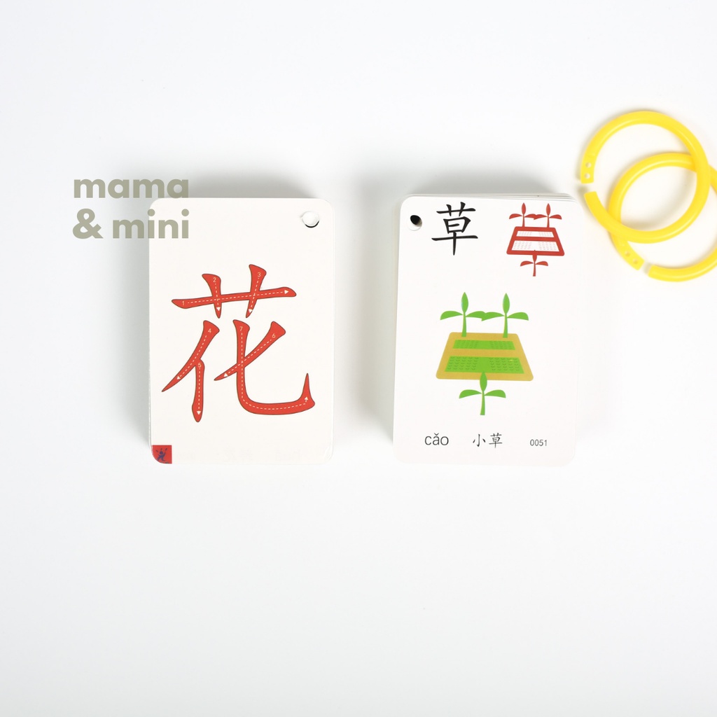 Mandarin Picture Flashcards With Strokes Guide With 100 Chinese ...