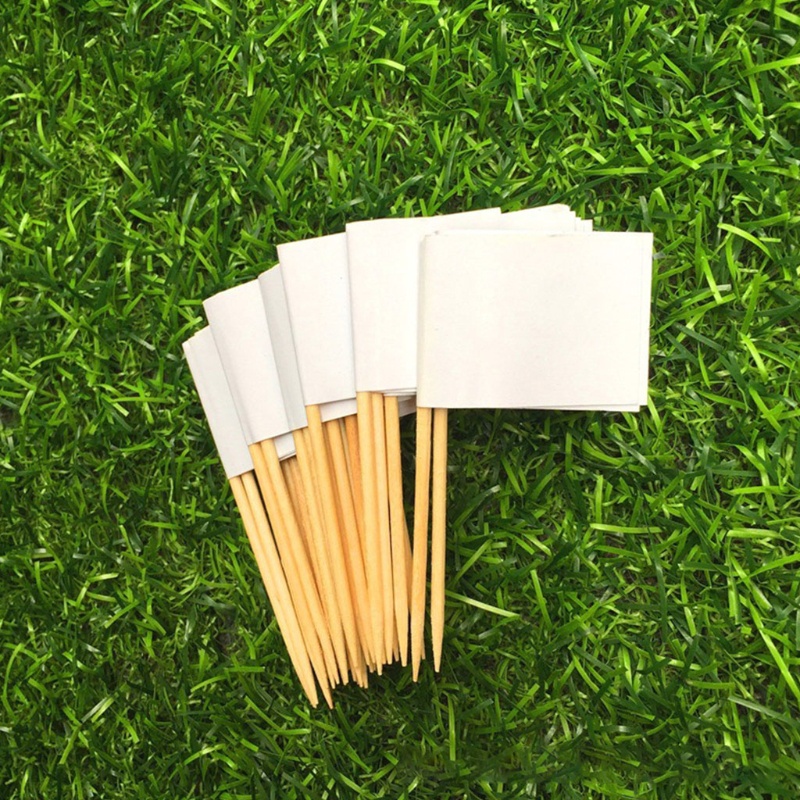 Yoo 100 Pieces Blank Toothpick Flags Mini Food Labels with Wooden ...