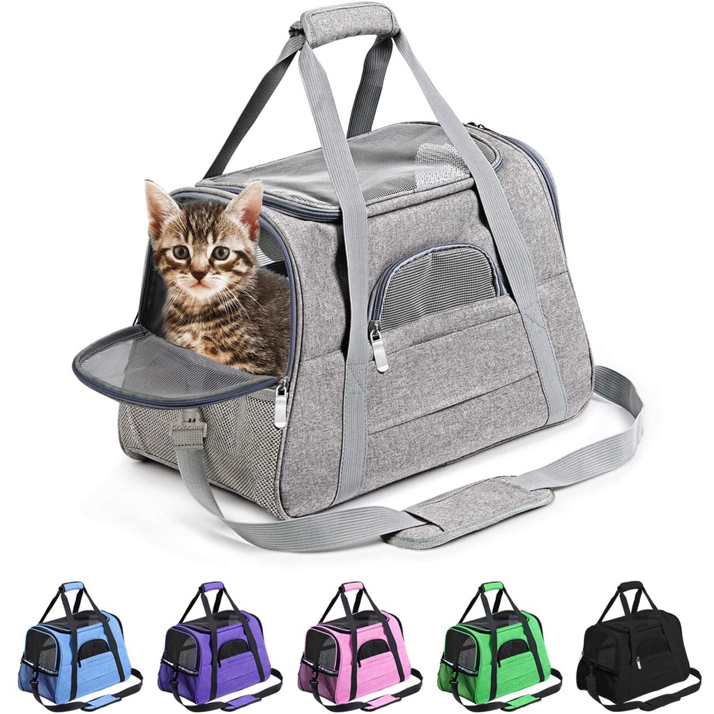 Jetblue cat carrier discount