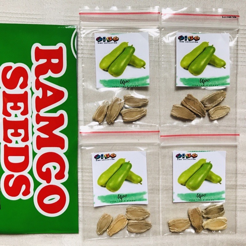 VEGETABLES Plant Seeds (Pechay, Sili, Okra, Talong, Tomato, Lettuce