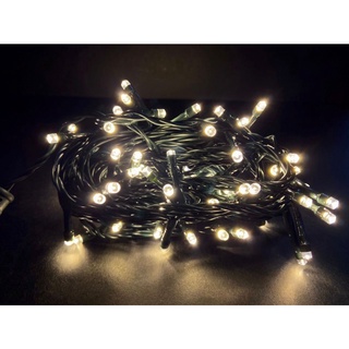 Fuji Bright 100L Chasing Christmas String Lights w/ Controller