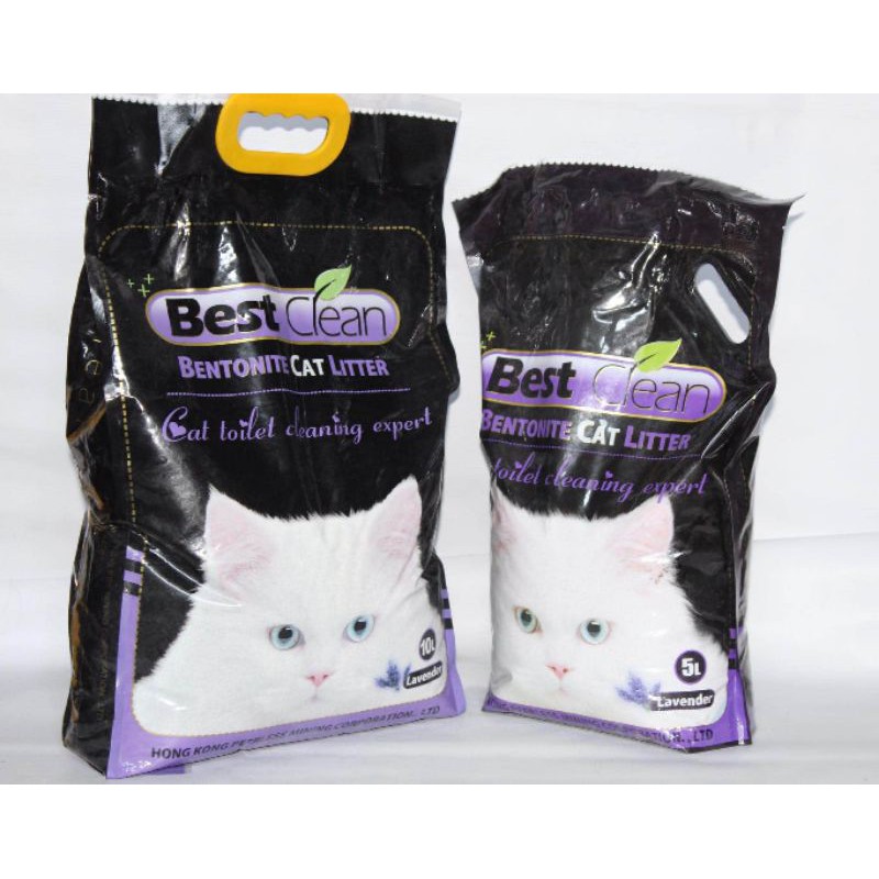 Cat store sand brands