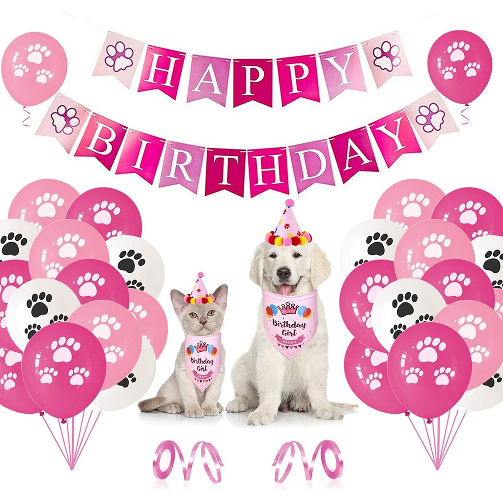 Pet Birthday Party Decorations Puppy Moggy Paw Print Birthday Hat Scarf ...