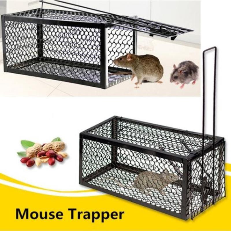 [CNW] Mouse Trap Rat Hamster Catch Bait Hunting Survival mousetrap ...