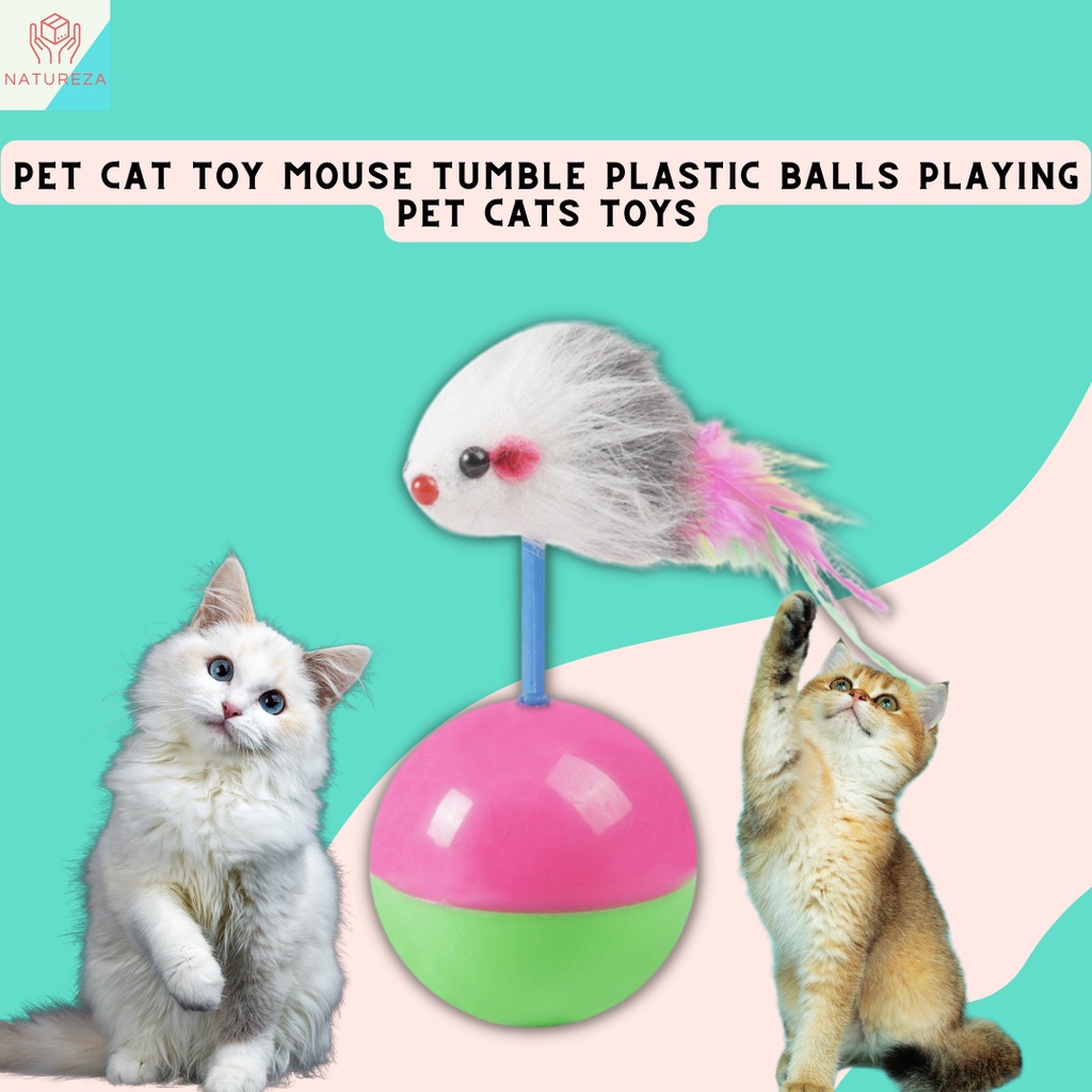 Pet Cat Toy Mouse Tumble Plastic Balls Playing Pet Cats Toys Shopee