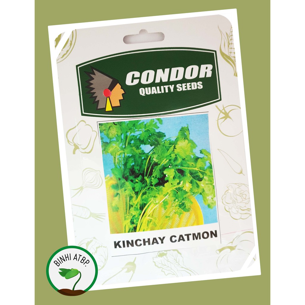 Condor Kinchay (Kintsay or Chinese Celery) Herb Seeds (10 Gr Pack