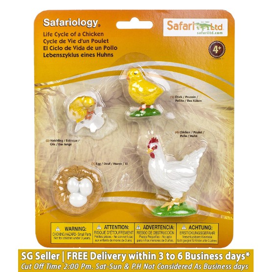 Safari Ltd Life Cycle of A Chicken | Shopee Philippines