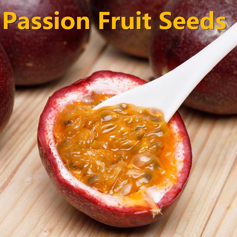 Mixed Seeds 10pcs Passion Fruit Seeds Plant Passiflora Climbing Perennial Biji Benih Buah 