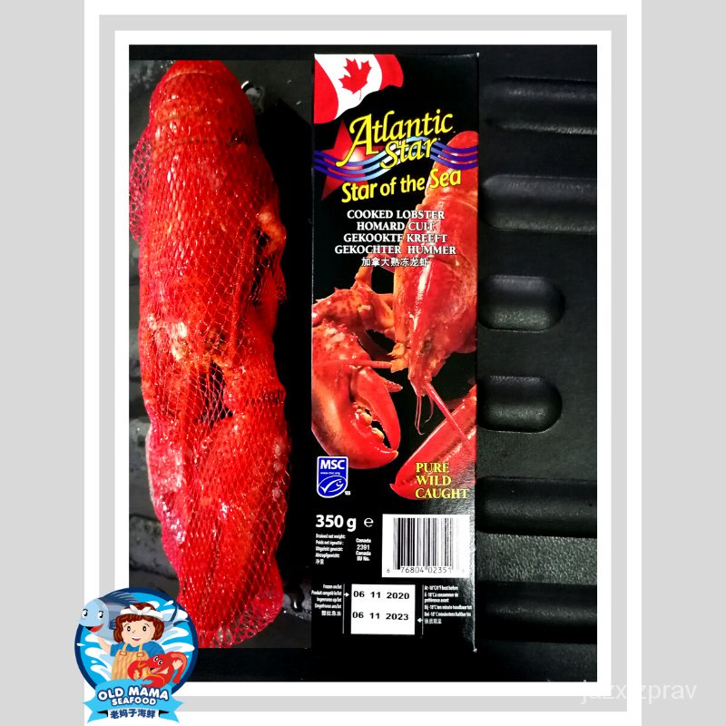 Canadian Wild Catch Cooked Boston Lobster-MSC CERT(350gm+-/nos)/冷冻加拿大野生 ...