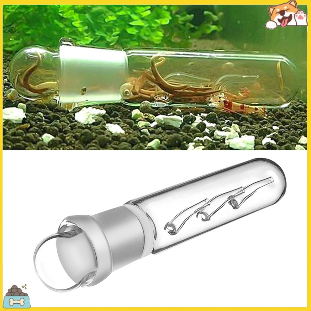 Glass 3Hole Aquarium Pest Catcher Fish Tank Planaria Leech Worm Trap
