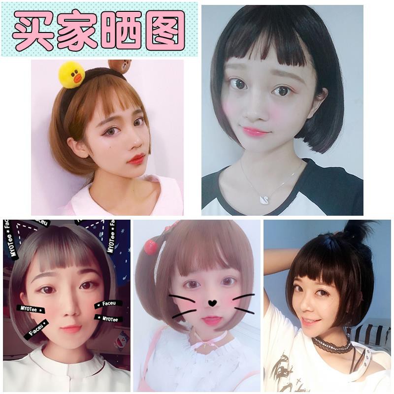 Hair Accessorieshuman wig wig female short hair bob head straight dog