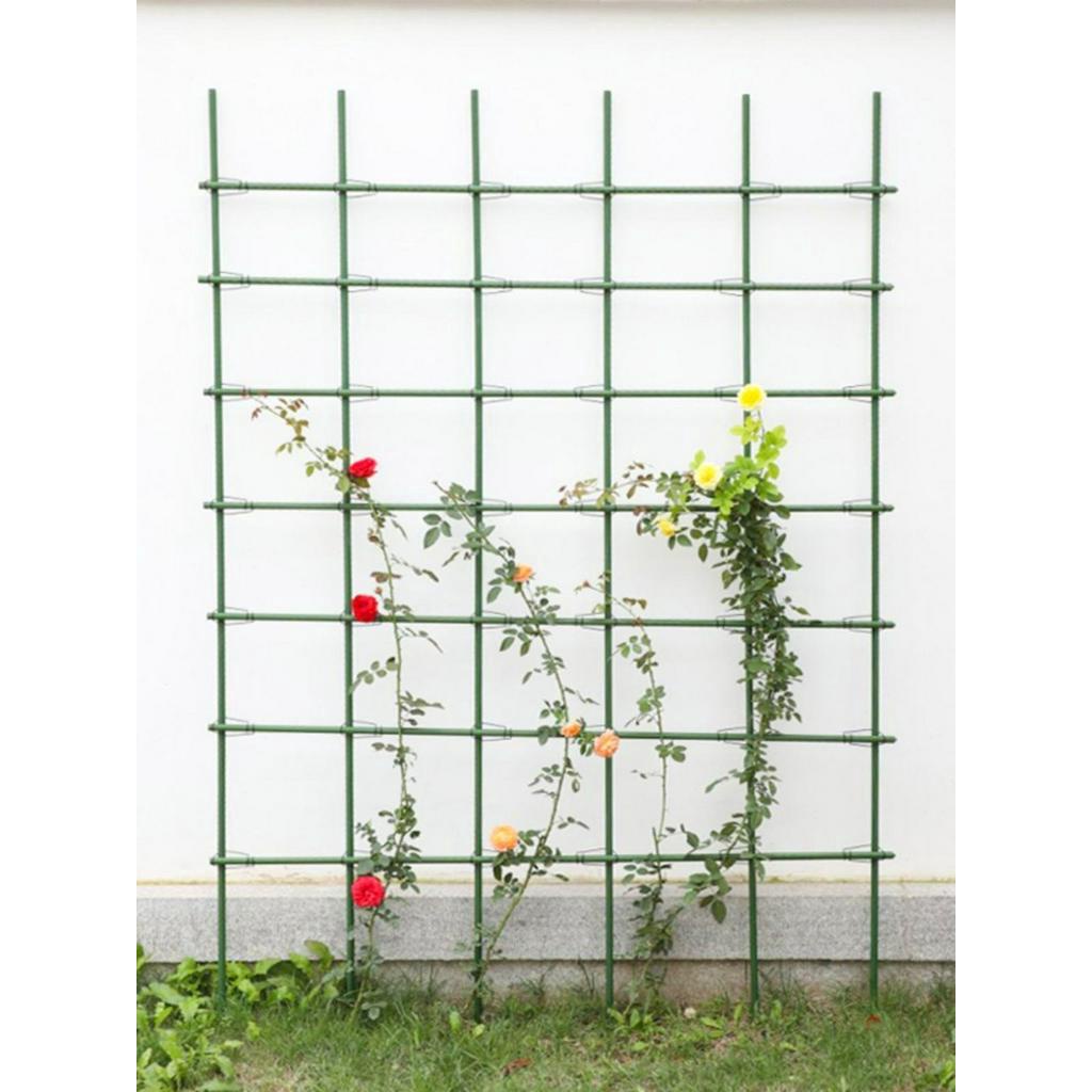 Climbing flower racks/// Flower Rack Climbing Rack Clematis Climbing ...