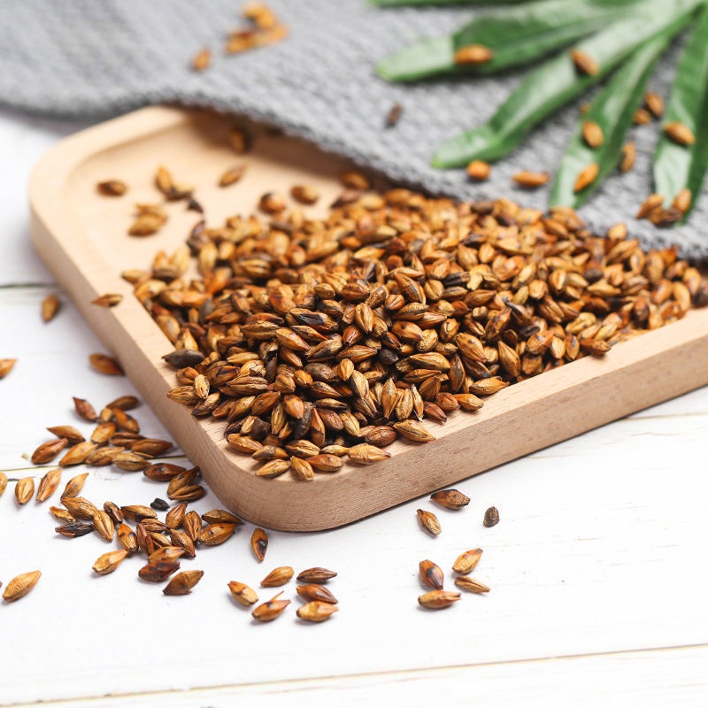 ♧Barley tea original flavor strong aroma type nourishing stomach oil