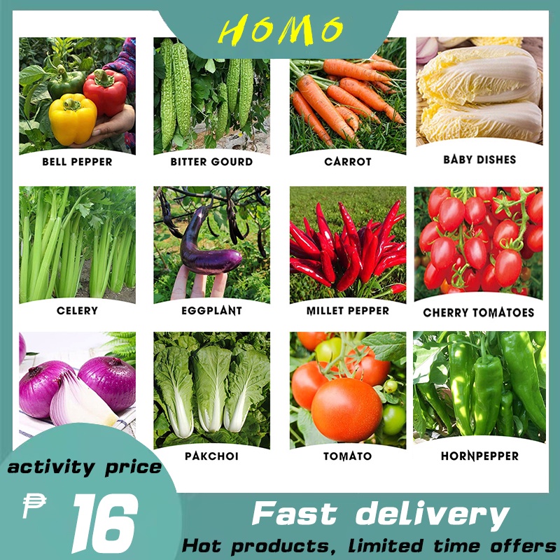 High survival rate of vegetable seeds Bell peppers Carrots Eggplants