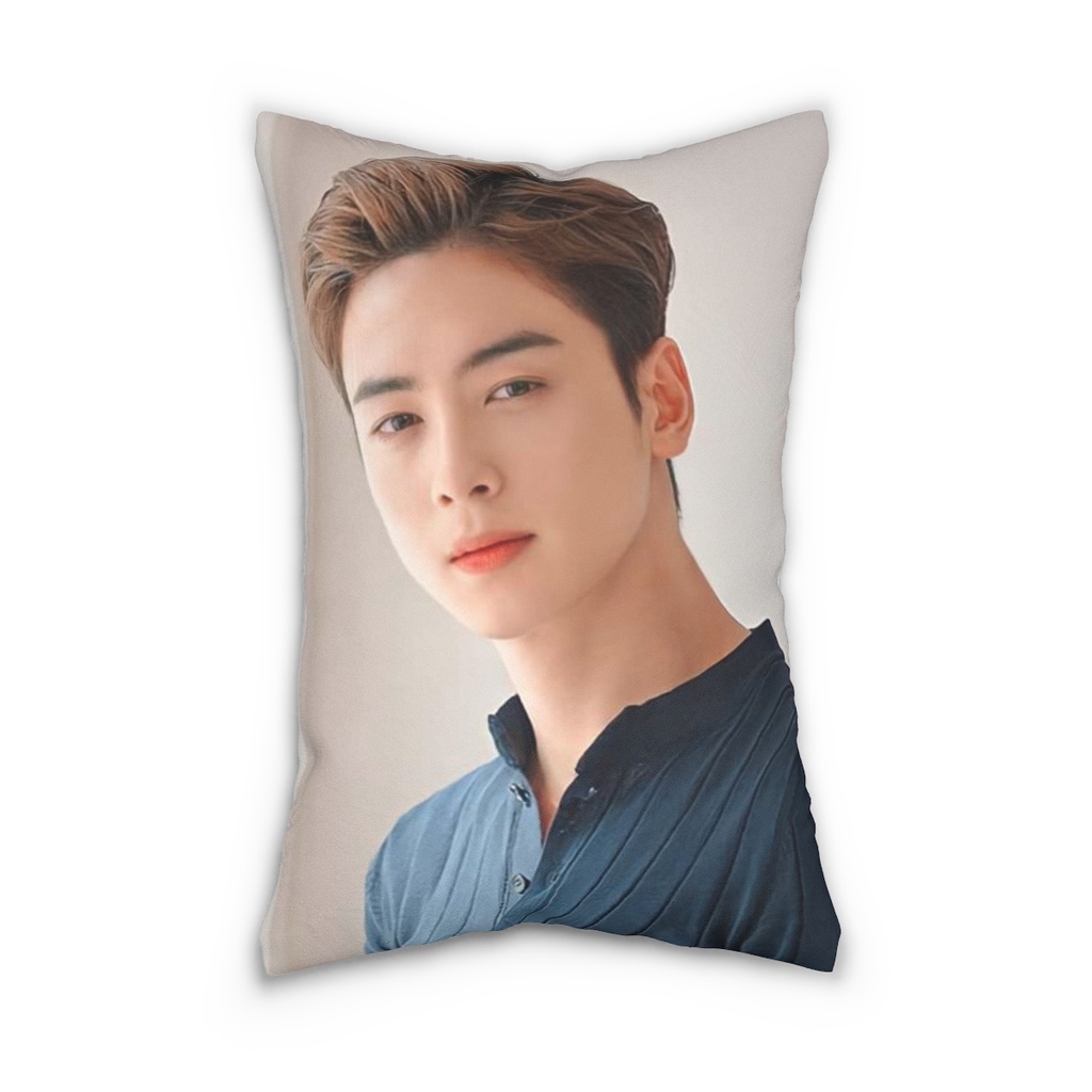 Cha Eun Woo Mini Pillow 9x12 Inches 7moonsph