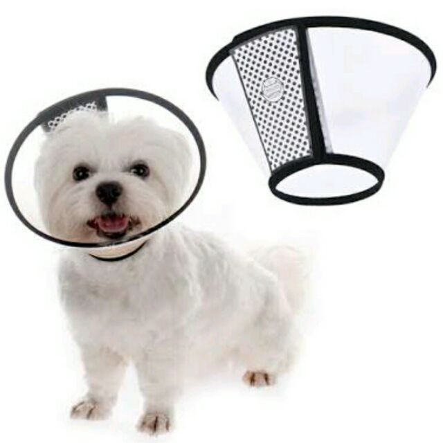 Dog anti bite collar sale