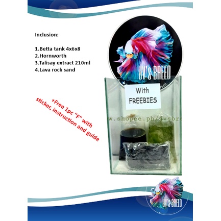 Betta tank with FREEBIE (Newbie Package) | Shopee Philippines