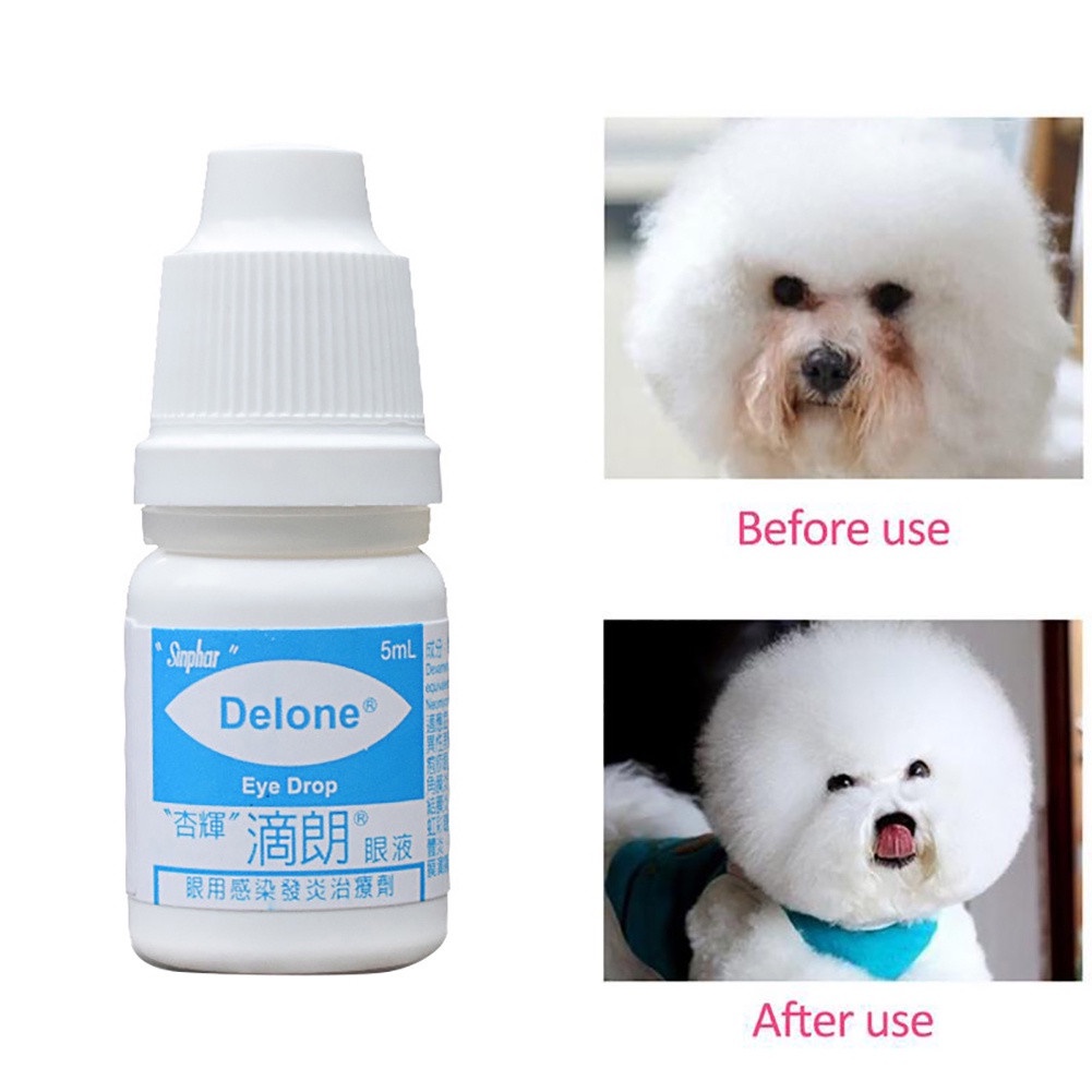 Sinphar Gentamicin Sulfate Eye Drops For Dogs Cats Pets | Shopee ...