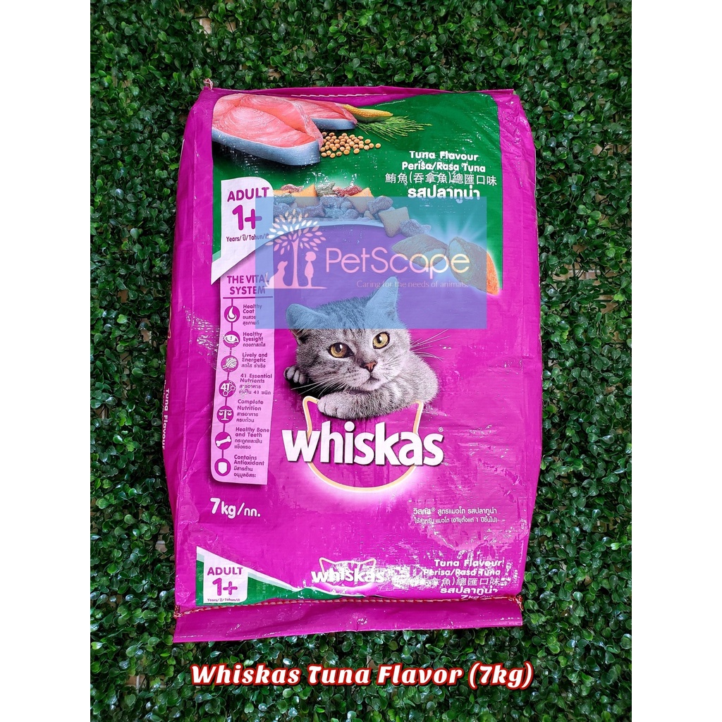 Whiskas Dry Cat Food 7kg (Tuna / Ocean Fish / Mackerel Flavor) Shopee