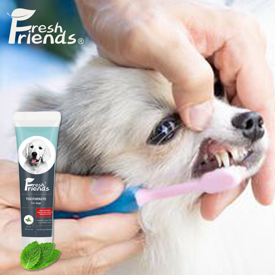 Fresh Friends Purry Dog Toothpaste Mint Flavor with Bioline Natural ...
