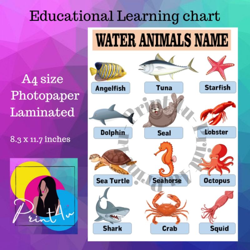 Water animals name kids chart - educational learning materials Laminated | Shopee Philippines