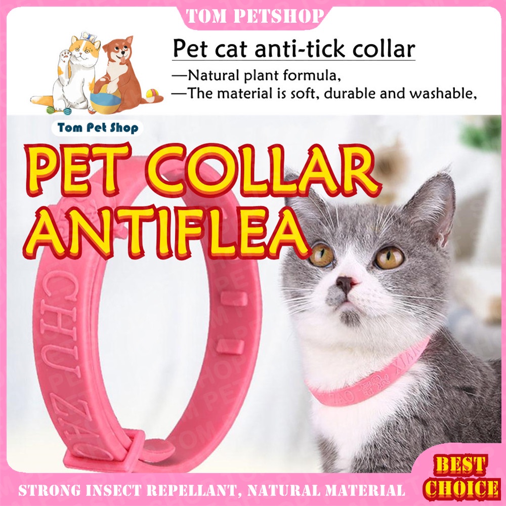 Pet Cat Collars Prevent Fleas Mites And Ticks Shopee Philippines