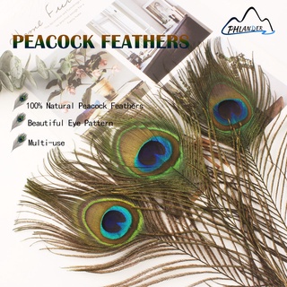 20Pcs 10-12Inch Peacock Feathers Decoration Crafts Bulk