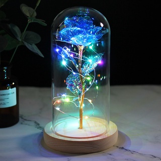 Jiditech Eternal Rose Light With Led Light In Glass Dome On Wooden ...