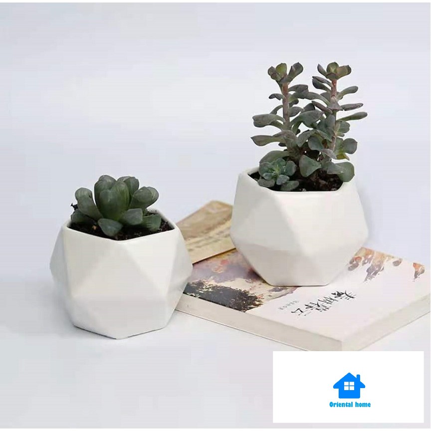 White Ceramic Geometric Design Mini Succulent Planter Pot Home ...