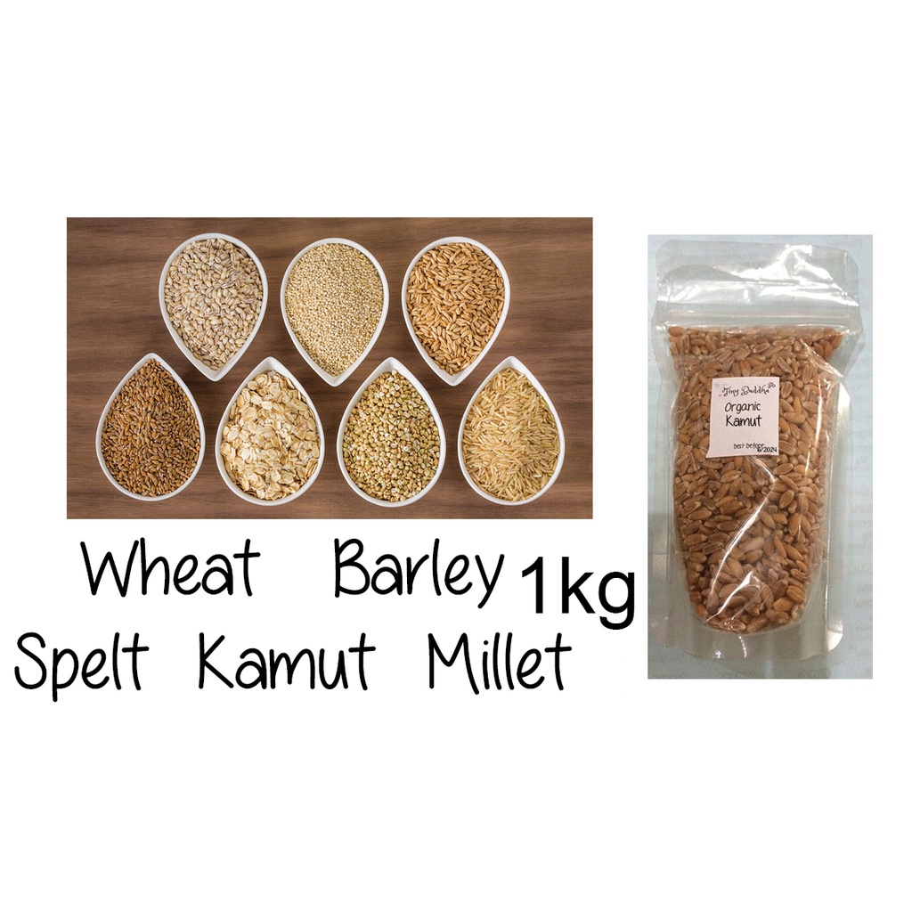 organic Spelt / Kamut / Wheat / Barley / Millet grains berries bulk order 1kg Shopee Philippines