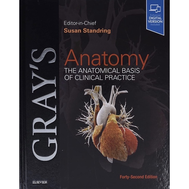 Gray's Anatomy 41st or 42nd Edition | Shopee Philippines