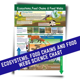 ECOSYSTEMS FOOD CHAINS & FOOD WEBS POSTERS CHARTS I ALL ABOUT SCIENCE ...