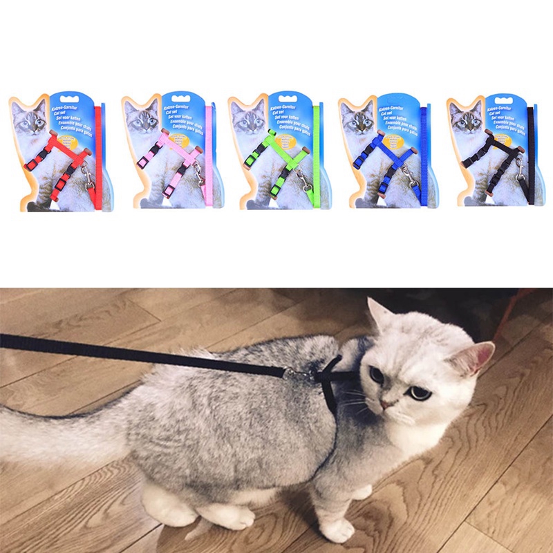 Cat Harness And Leash For Animals Adjustable Pet Traction Harness Belt Cat Kitten Halter Collar