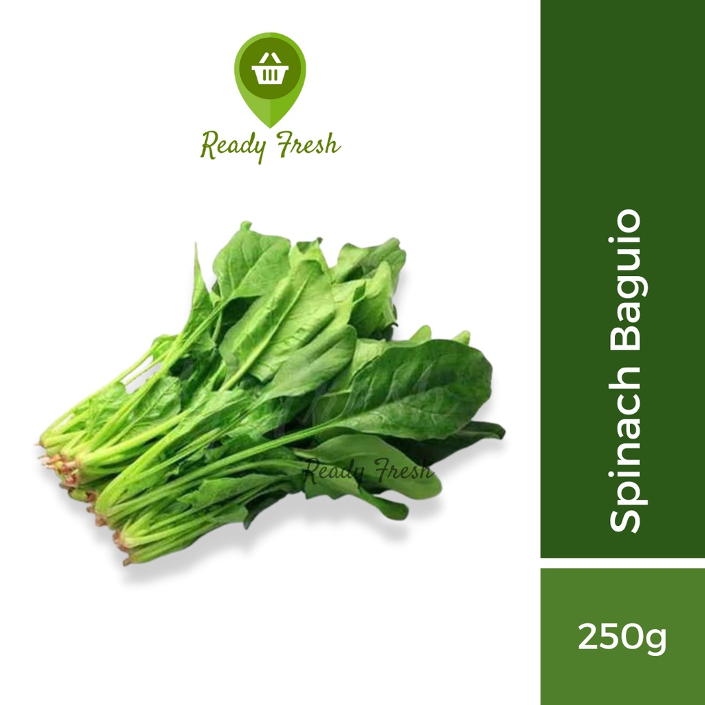 Ready Fresh Spinach Baguio (250g) Shopee Philippines