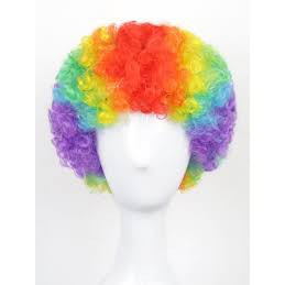 rainbow-color-crazy-funny-afro-wig-shopee-philippines