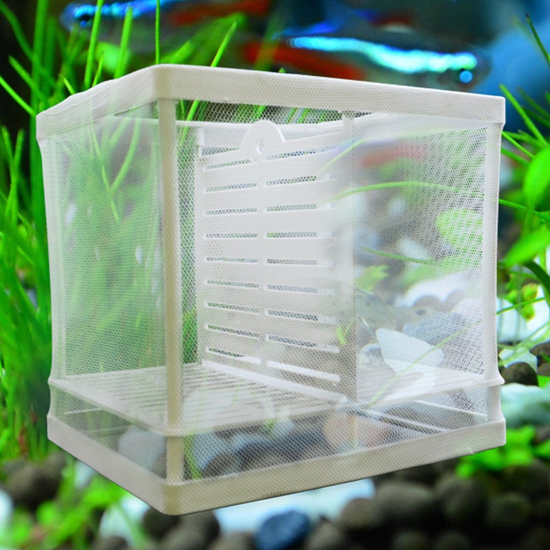 √Fish Tank Aquarium Breeding Box Hatchery Float Breeder Box Isolation