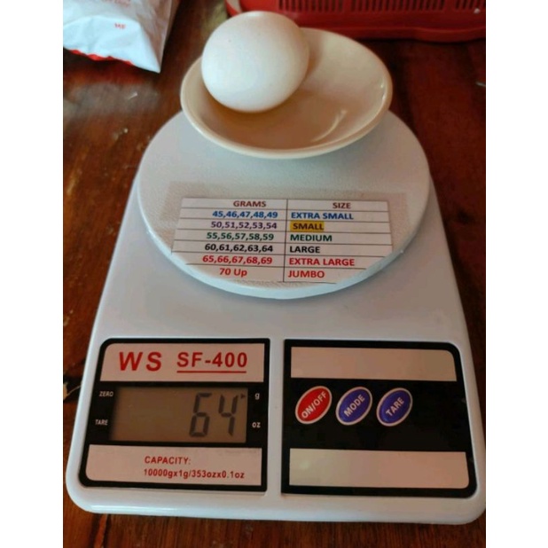 Yamato Egg Letter Scale
