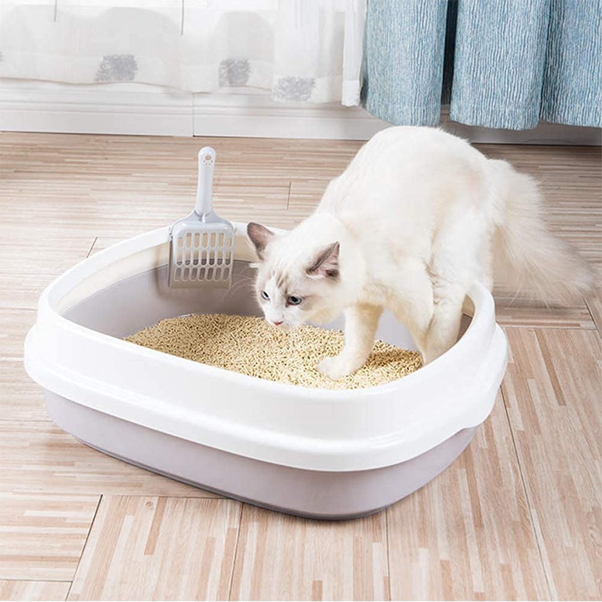 Cat litter sale box shopee