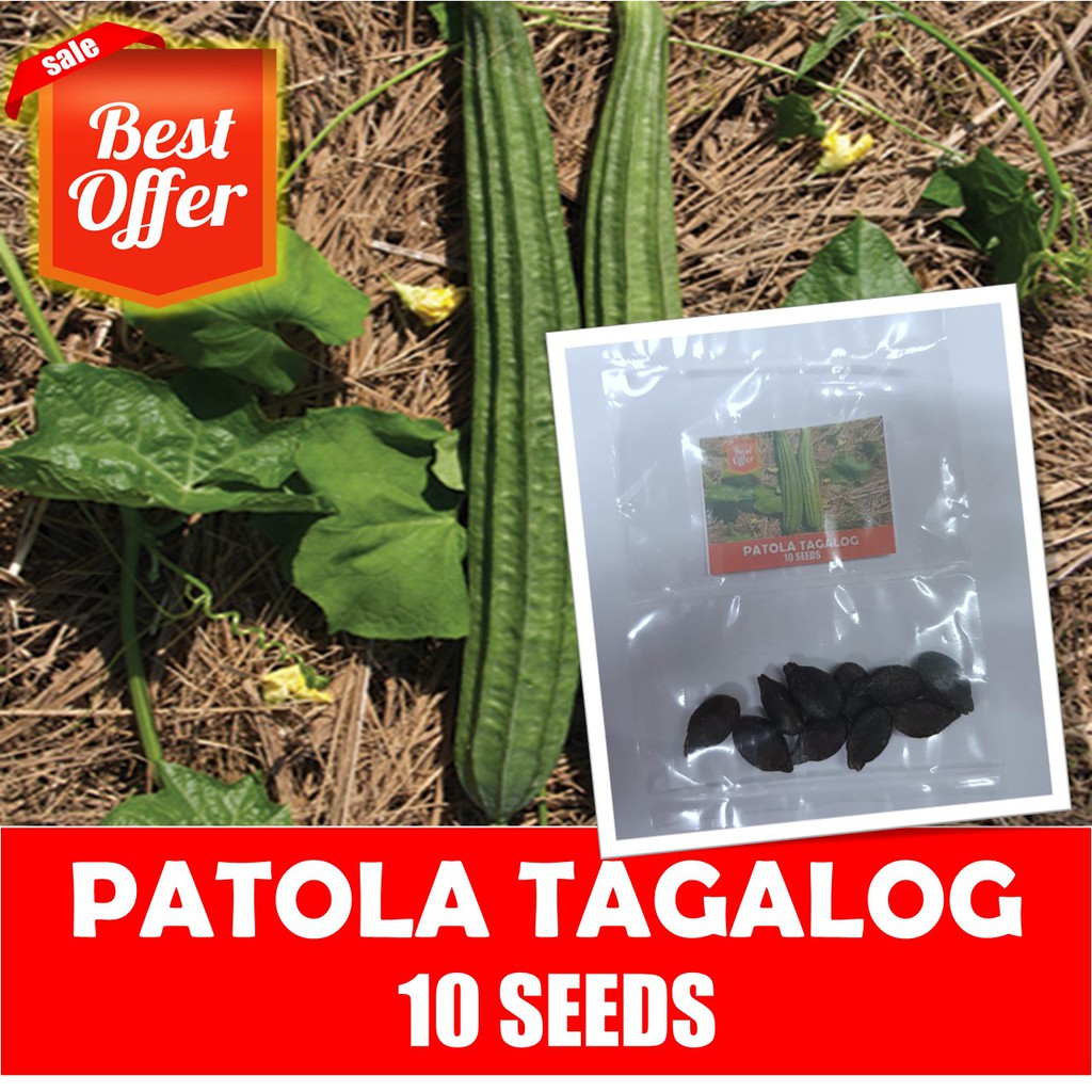 Patola Tagalog Seeds - Vegetable Seeds | Shopee Philippines