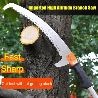 High branch store saw