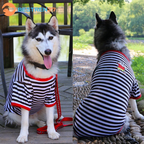 Husky 2024 puppy clothes