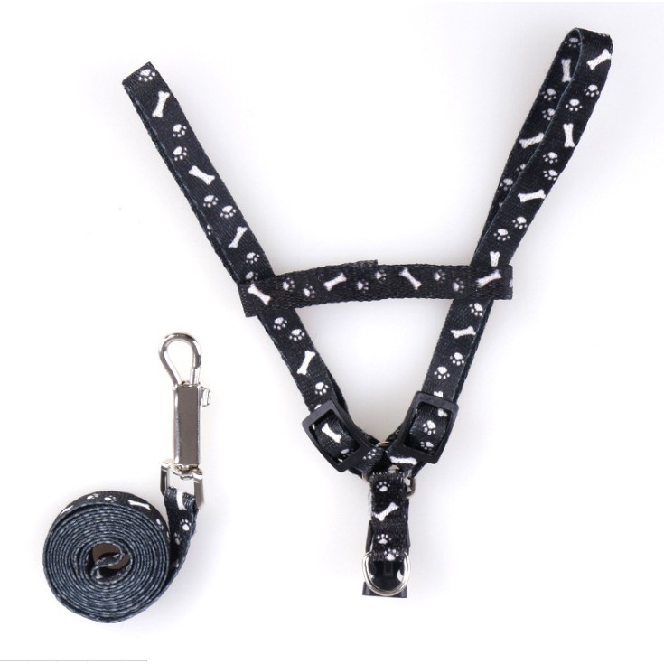 Cat Leash Dog Leash Pet Leash Puppy Leash Kitty Adjustable Nylon Leash